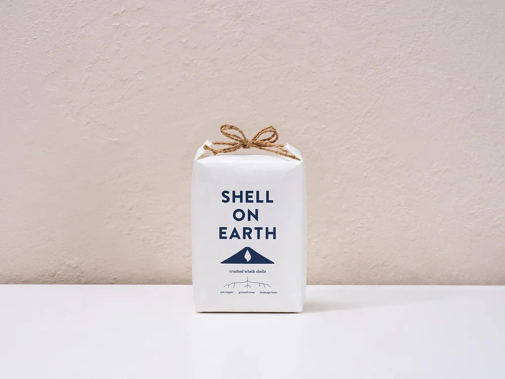 SHELL ON EARTH