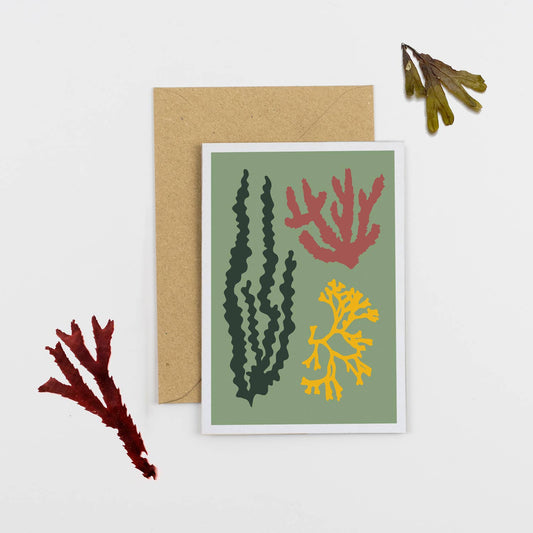 Seaweed Cards