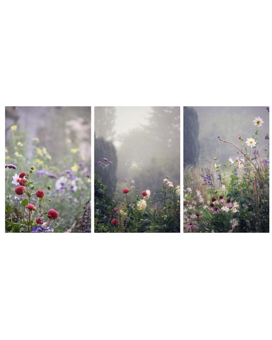 Flowers In The Mist Print Triptych