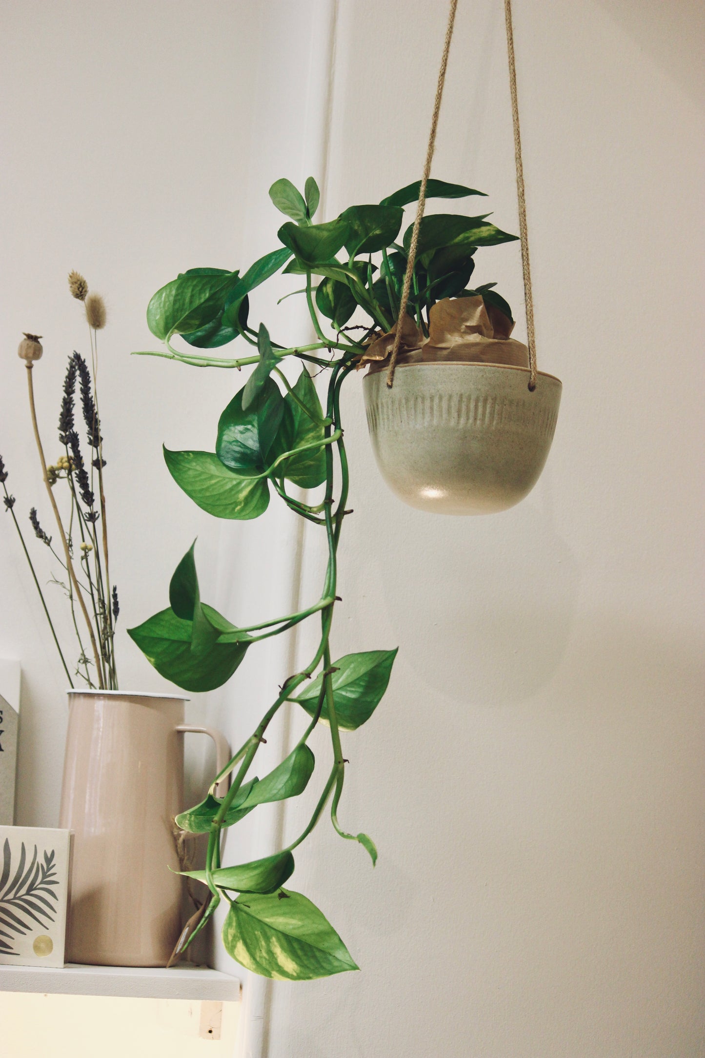 Ceramic Hanging Planter