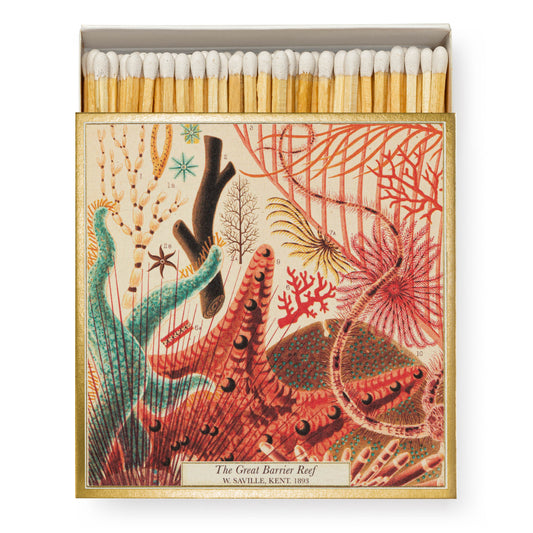 Natural History Museum Great Barrier Reed by Archivist - Luxury Matches