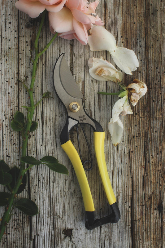 Prune like a pro with these excellent drop-forged carbon steel secateurs from Niwaki. Great all-rounders - perfect for cutting woody stems as well as general garden pruning.