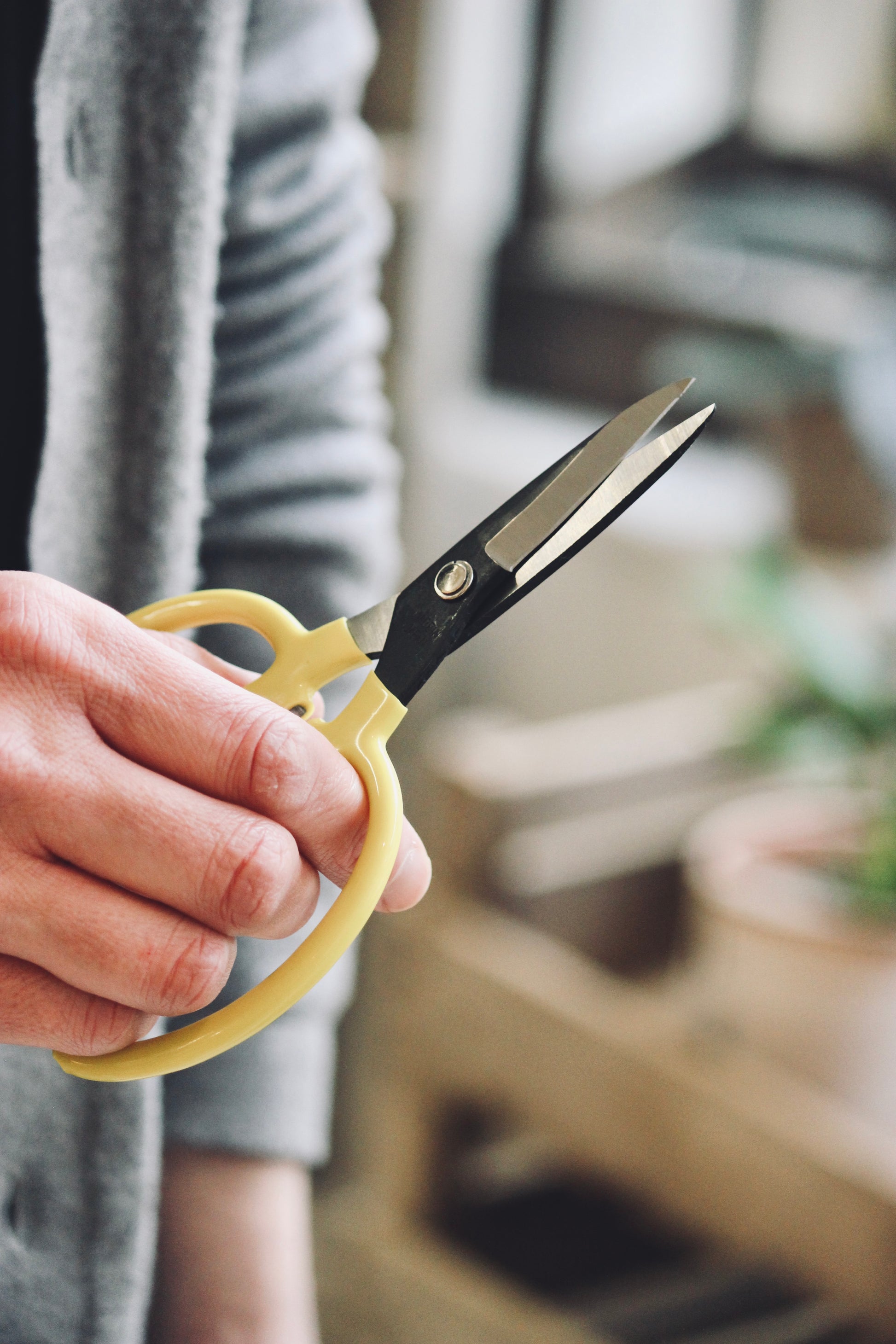 High Quality and Handy Pair of Garden Floral Scissors with Yellow Vinyl Handles, Made in Japan, Ideal for bonsai, flowers, vegetables, and general garden snipping