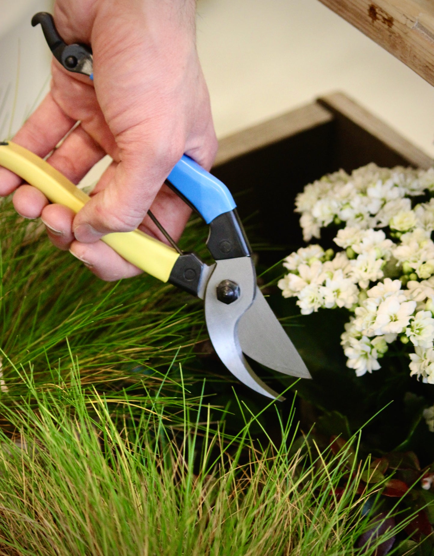 Wonderful everyday left handed Niwaki secateurs for general pruning in the garden. Made in Japan