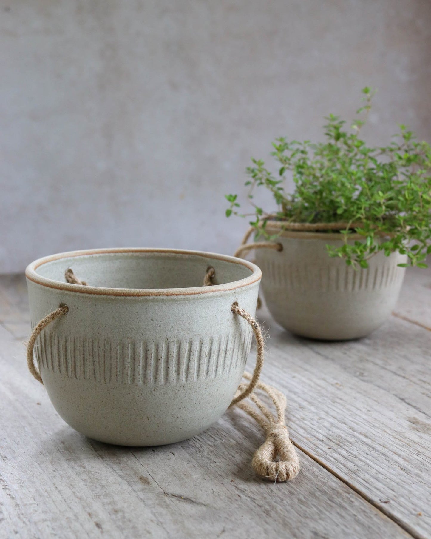 Ceramic Hanging Planter