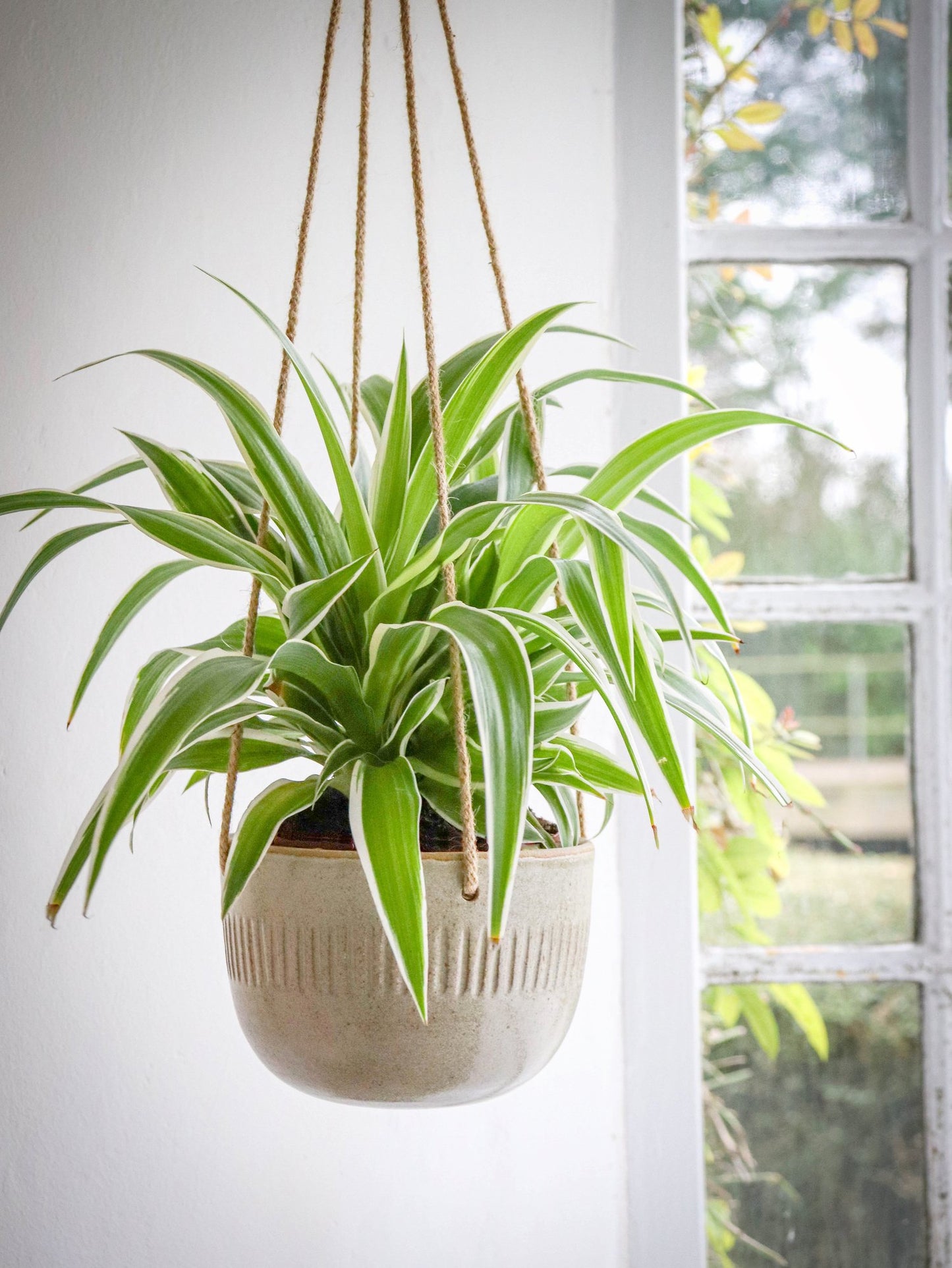 Ceramic Hanging Planter