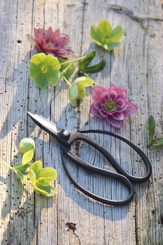 Sentei Garden Scissors